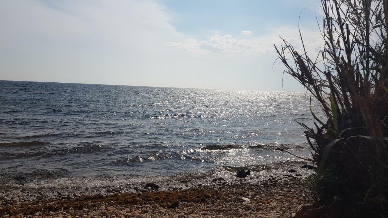 The Village Novigrad Istria 외부 사진